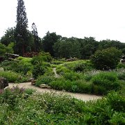 DSC01803