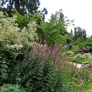 DSC01804