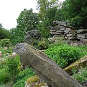 DSC01806