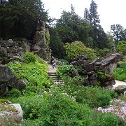 DSC01807