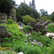 DSC01808