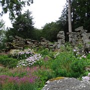 DSC01819