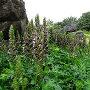DSC01820