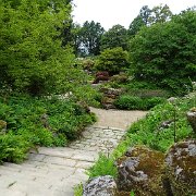 DSC01837