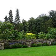 DSC01842