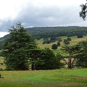 DSC01846