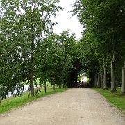 DSC01852