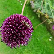 DSC01879