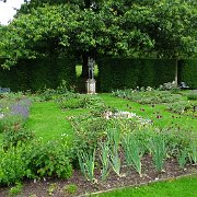 DSC01883