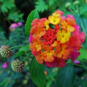 DSC01890