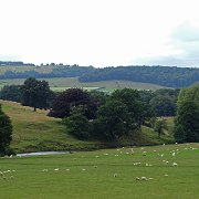 DSC01893