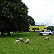 DSC01894
