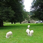 DSC01895