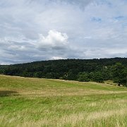 DSC01911