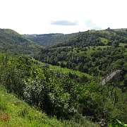 DSC01917