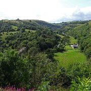 DSC01919