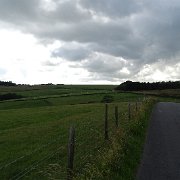 DSC01929