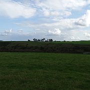 DSC01930