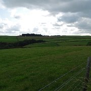 DSC01931