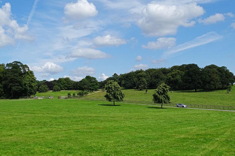 DSC01964