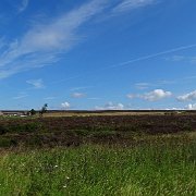 DSC01953