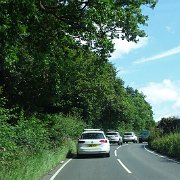 DSC01956