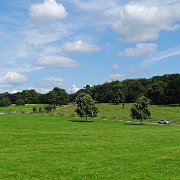 DSC01964