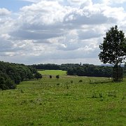 DSC01965