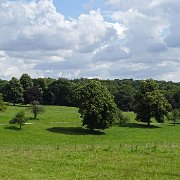DSC01966