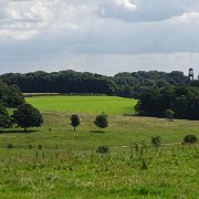 DSC01967