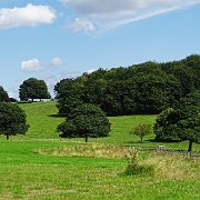 DSC01968