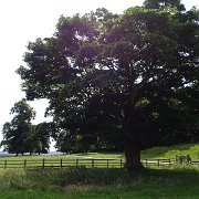 DSC01969