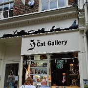 DSC02173