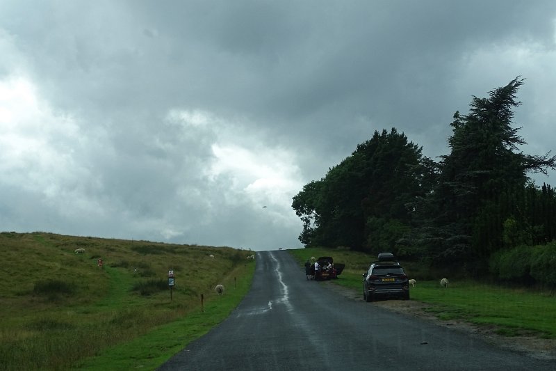 DSC02356
