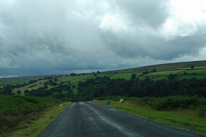 DSC02360