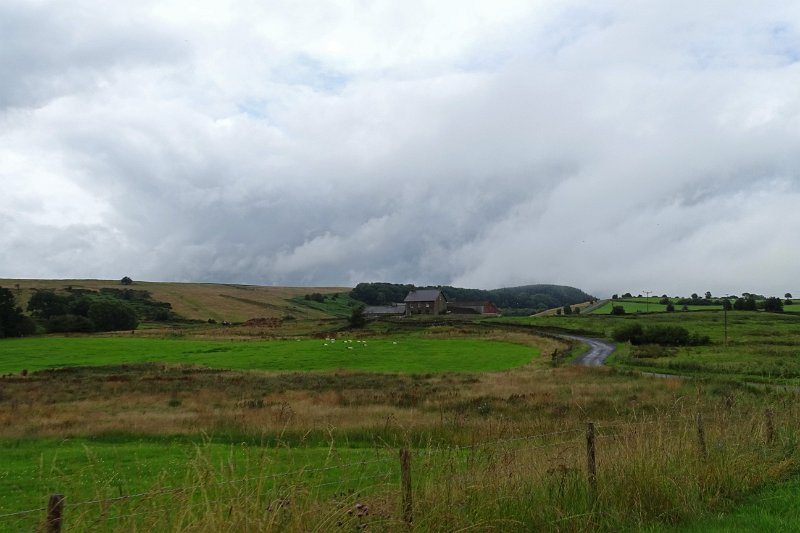 DSC02366