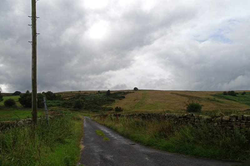 DSC02367