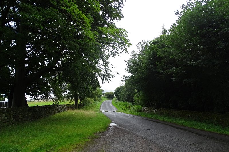 DSC02377