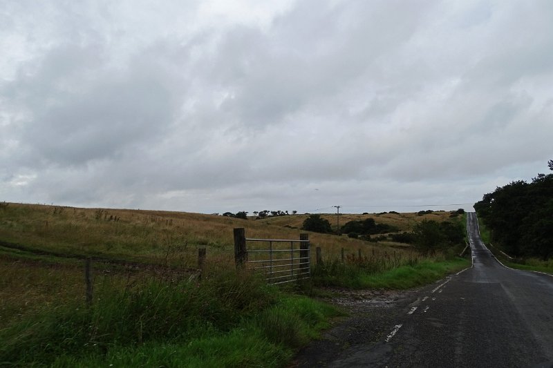 DSC02397
