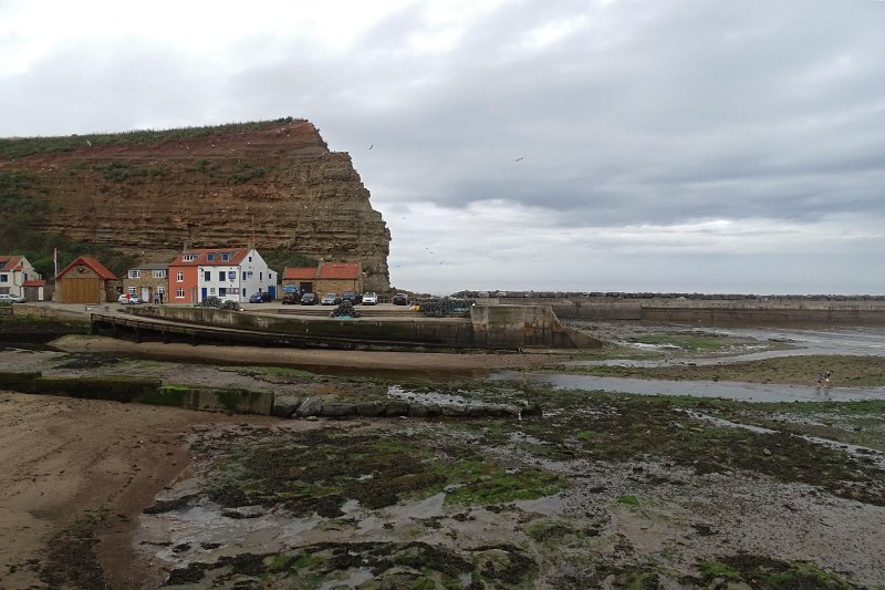 DSC02411