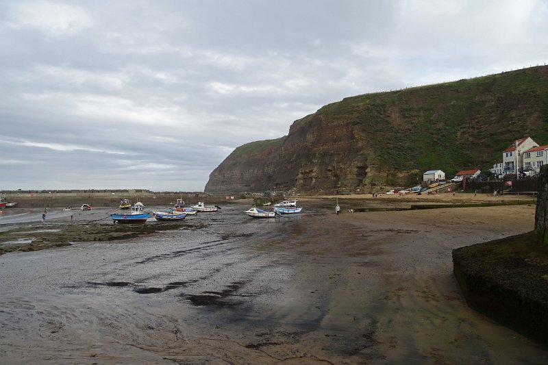 DSC02414
