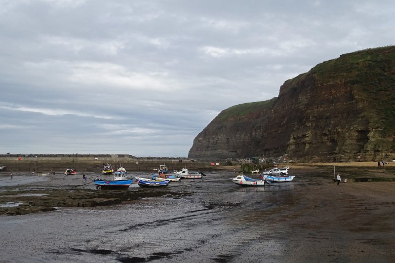 DSC02416