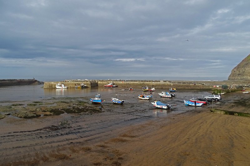 DSC02421