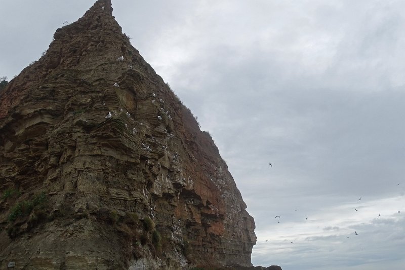 DSC02470