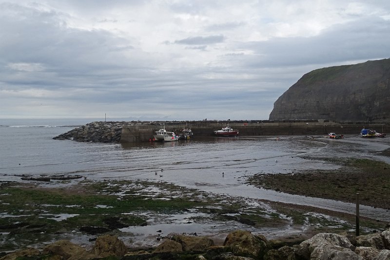 DSC02472
