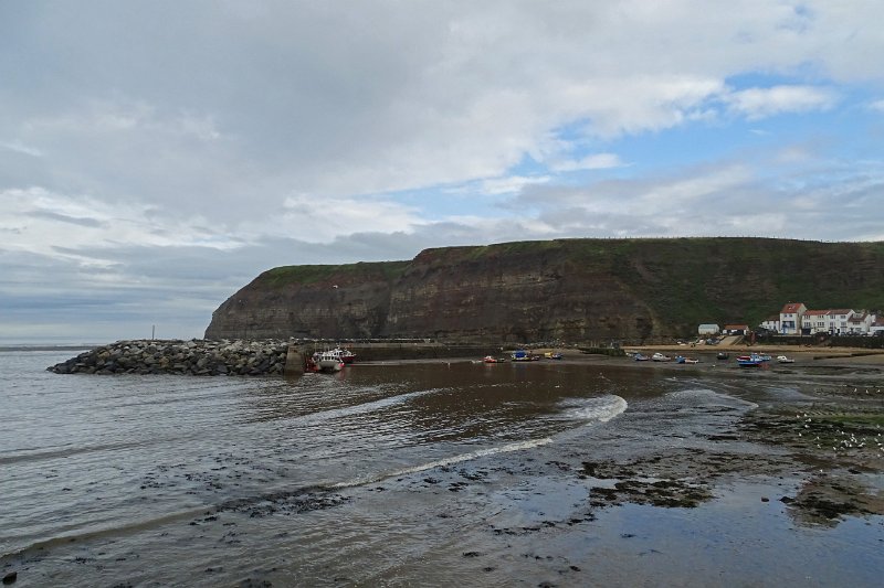 DSC02485