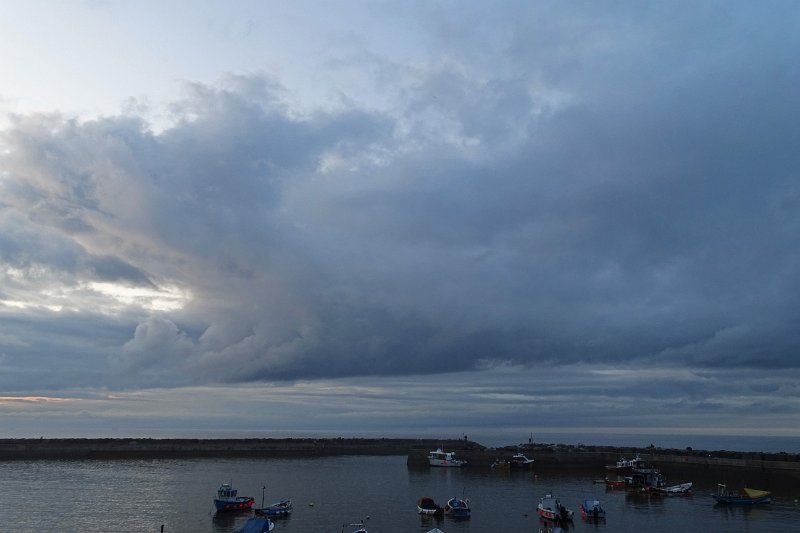 DSC02538