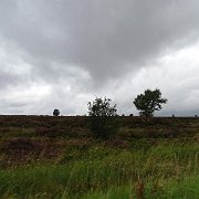 DSC02294