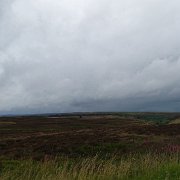 DSC02296
