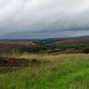 DSC02298